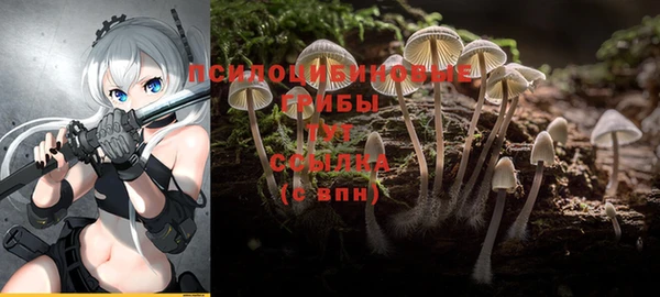 mdpv Богданович
